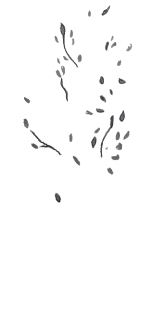 Tree Leaves